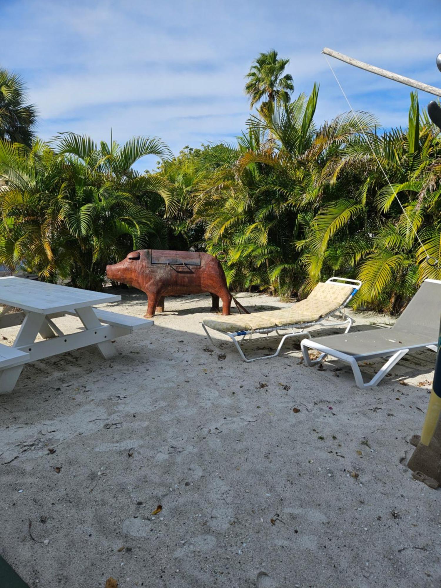 Oasis Palms Resort St. Pete Beach Eksteriør bilde